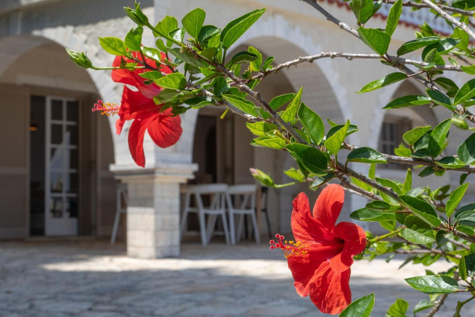 Ionian Garden Villas - Villa Olea Benitses  Exterior photo