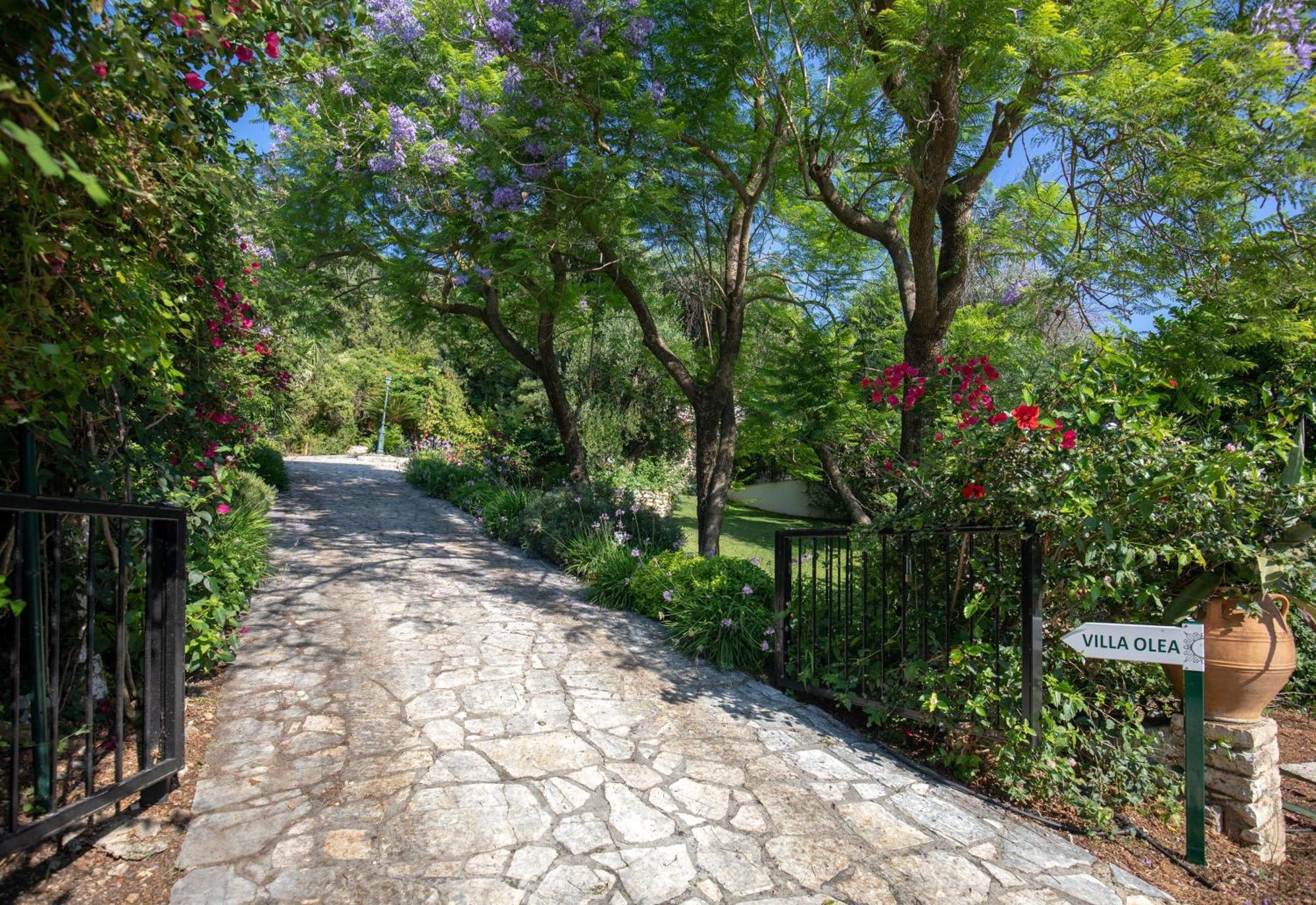 Ionian Garden Villas - Villa Olea Benitses  Exterior photo