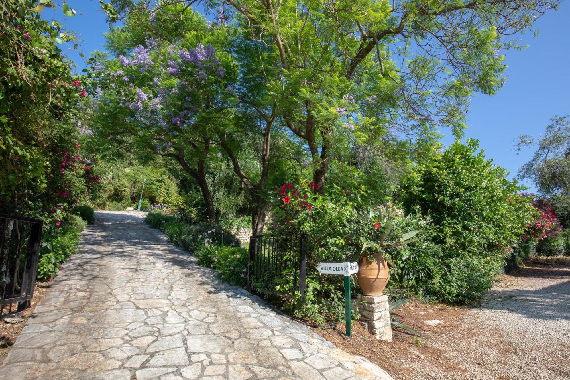 Ionian Garden Villas - Villa Olea Benitses  Exterior photo
